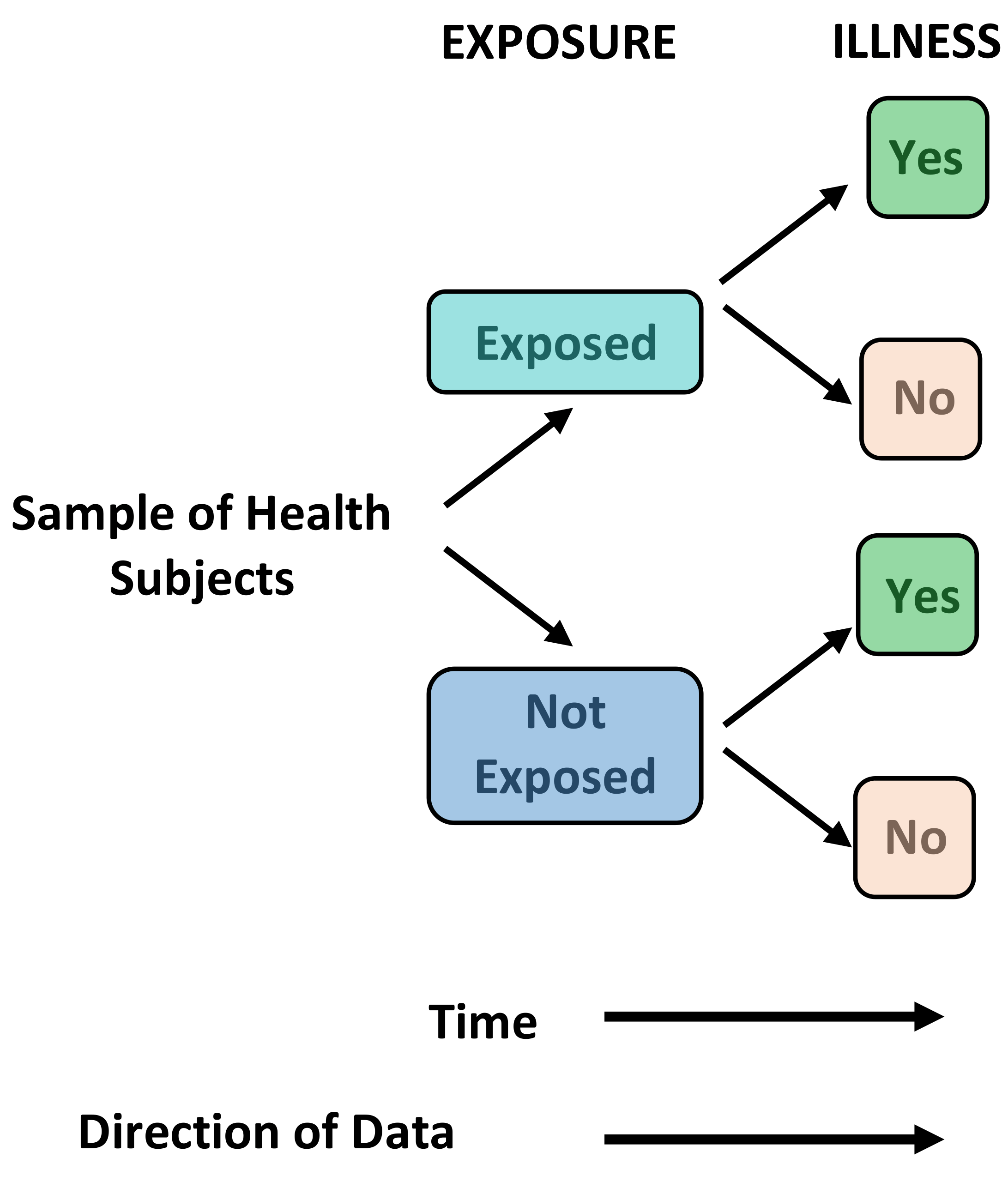 Cohort Studies